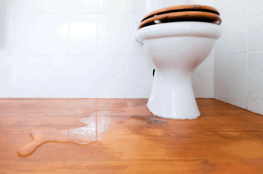 How to Tell if Toilet Is Leaking Underneath [2023] ToiletDude