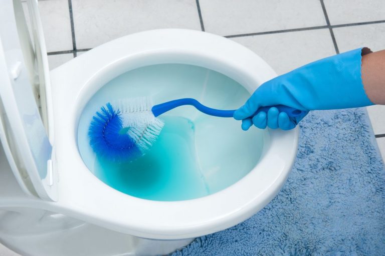 How to clean toilet seat